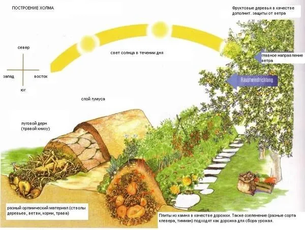 Схема тёплой грядки-холма. Изображение с сайта over-blog-kiwi.com