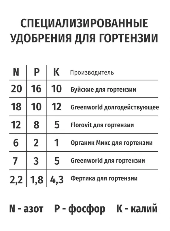 Дрожжевые подкормки способствуют росту гортензий