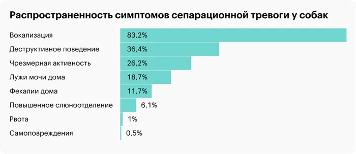 собака грустит