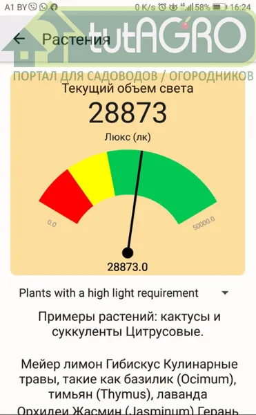 Скриншот встроенного в смартфон люксметра (Фотометр PRO). Можно использовать любое удобное приложение - tutAGRO