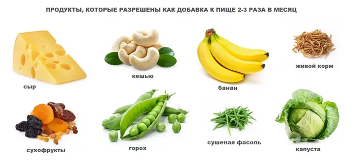 Продукты для хомяков