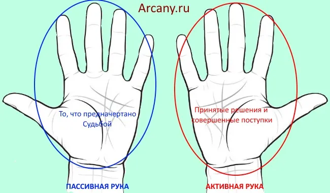 Значение буквы М на ладонях правой и левой рук в хиромантии